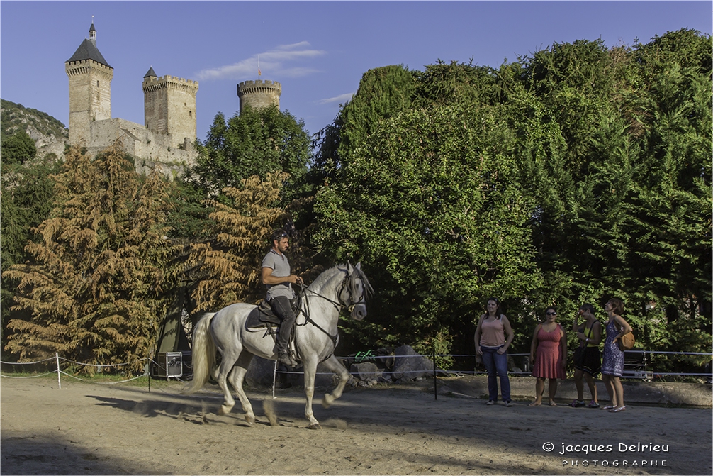 Nuit du cheval 2017