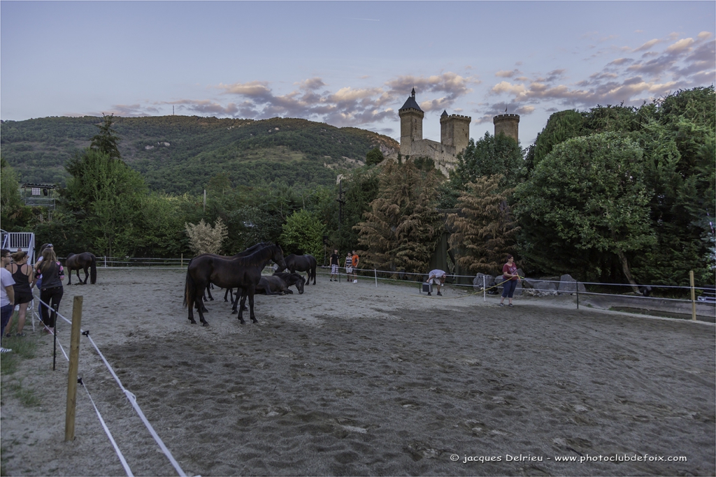 Night of the horse 2017