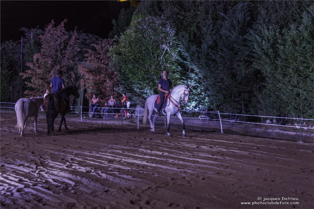 Nuit du cheval 2017