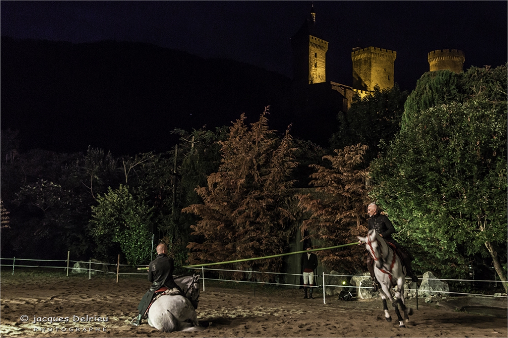 Nuit du cheval 2017