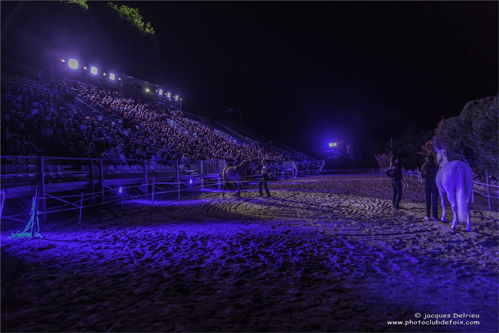Noche del caballo 2017